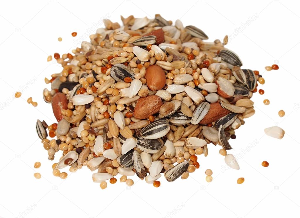 Pile of seed mixture for Big Parakeets, isolated on white