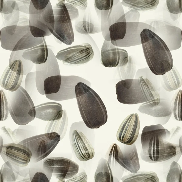 해바라기 씨앗 원활한 배경 — 스톡 사진