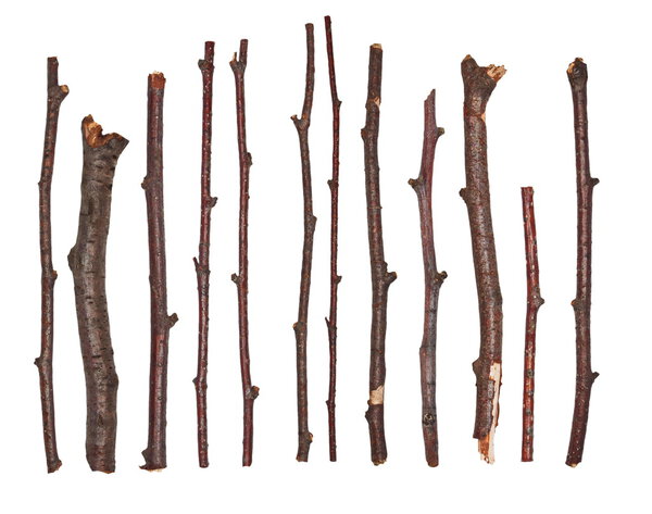 Макроветви, изолированные на белом фоне
