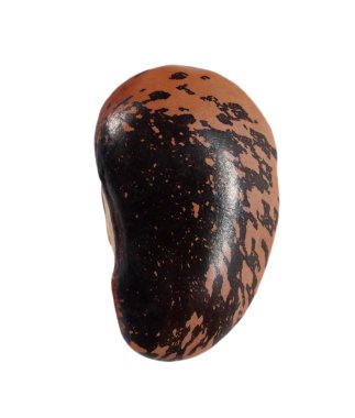 Beyaz arka plan üzerinde izole makro büyük fasulye