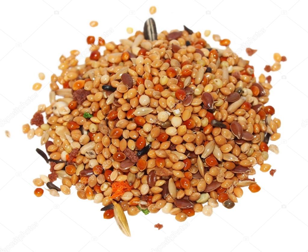 Pile seeds and fruits for birds. complete food for budgies