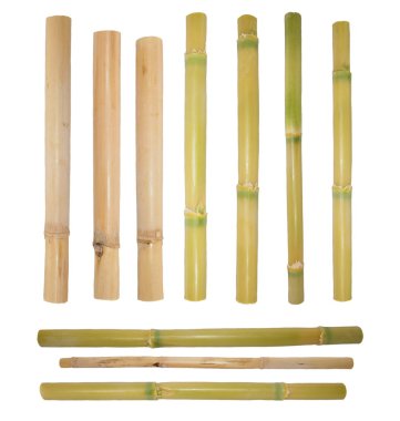 Bambu rattan (kırpma yolu ile beyaz arka plan üzerinde izole)