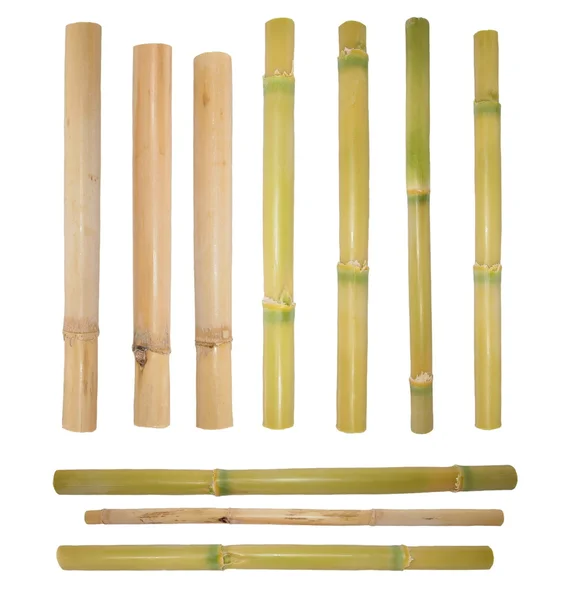 Ratán de bambú aislado sobre fondo blanco (con ruta de recorte ) — Foto de Stock