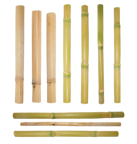 Bambu rattan (kırpma yolu ile beyaz arka plan üzerinde izole)