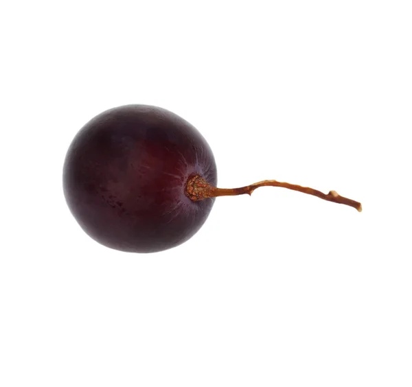 Winogron na białym tle na białym tle ze ścieżką przycinającą — Zdjęcie stockowe