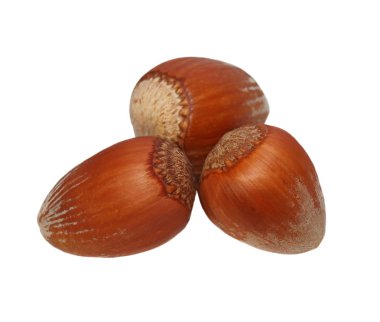 Beyaz arka plan üzerinde izole kuru fındık