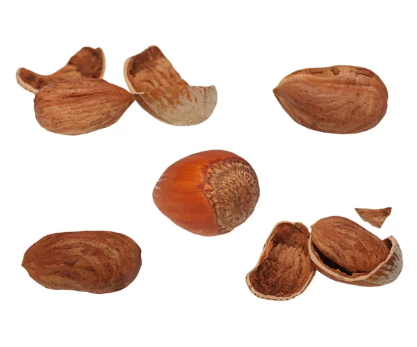 Set hazelnuts isolated on white — Stock Photo, Image