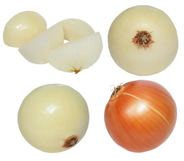 Conjunto de cebolas isoladas sobre fundo branco — Fotografia de Stock