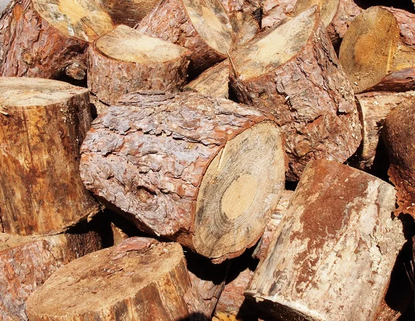 Stomp stapel achtergrond, brandhout — Stockfoto