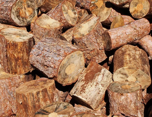 Stump stack background, firewood — Stock Photo, Image