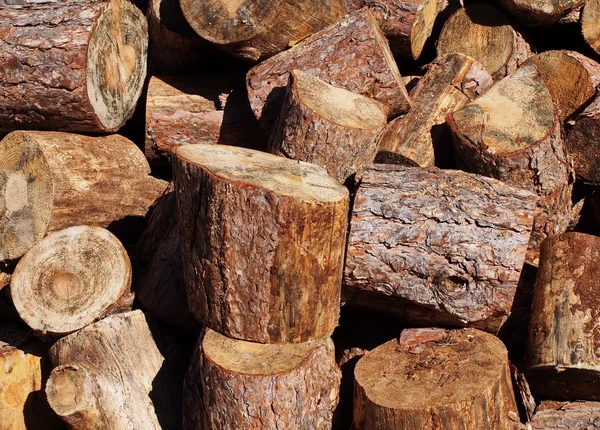 Stump stack background, firewood — Stock Photo, Image