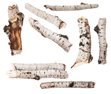 Beyaz arka plan üzerinde izole Birch kuru dalları