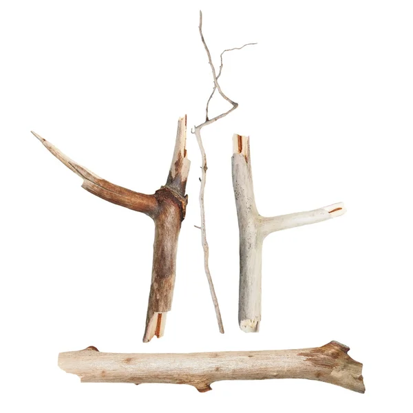 Branches macro sèches isolées sur fond blanc — Photo