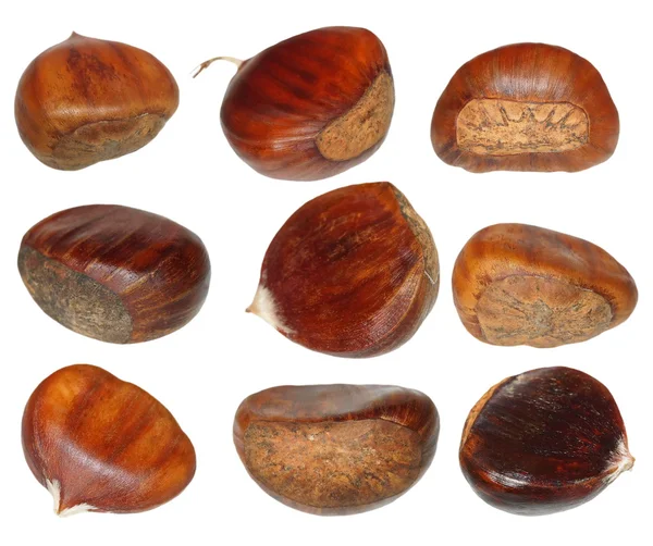 Set chestnut isolated on white background, Sweet Edible Chestnuts, ( with clipping path ) — Stock Photo, Image