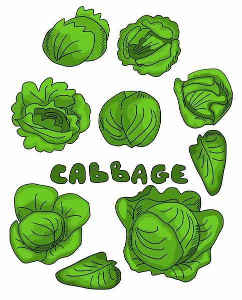 Set cabbage doodle background — Stock Photo, Image