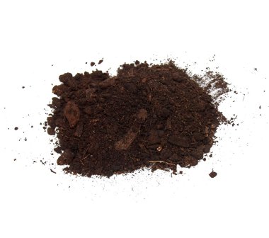 Beyaz arka plan üzerinde izole kir