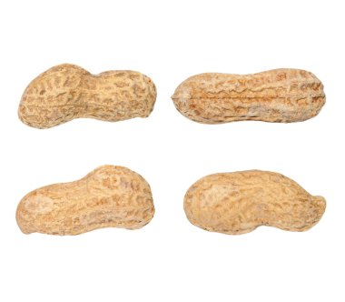 Beyaz arka plan üzerinde izole makro fıstık ayarla