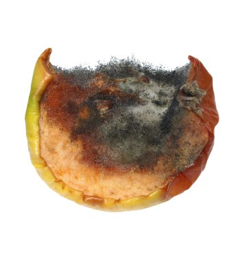 beyaz zemin üzerine, mantarlar izole küflü elma