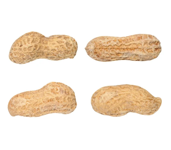 Conjunto de cacahuetes macro aislados sobre fondo blanco — Foto de Stock