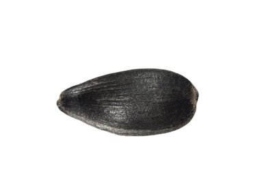 siyah ayçiçeği çekirdeği üzerinde beyaz izole
