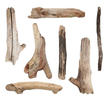 Kuru dallar üzerinde beyaz izole makro ayarla