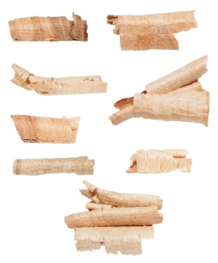 Beyaz arka plan üzerinde izole talaş ayarla