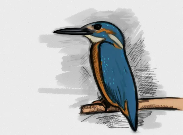 Hand drawn Common Kingfisher with paper texture, alcedo atthis — Stock Photo, Image