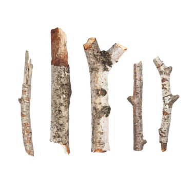 dallar üzerinde beyaz izole