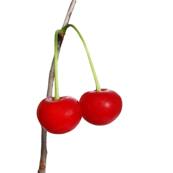 Two cherries isolated on white background — Stock Photo, Image