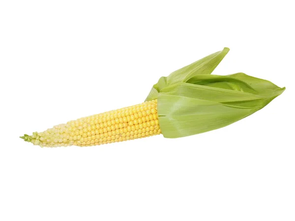 Orelha de milho isolado no fundo branco (com caminho de recorte ) — Fotografia de Stock
