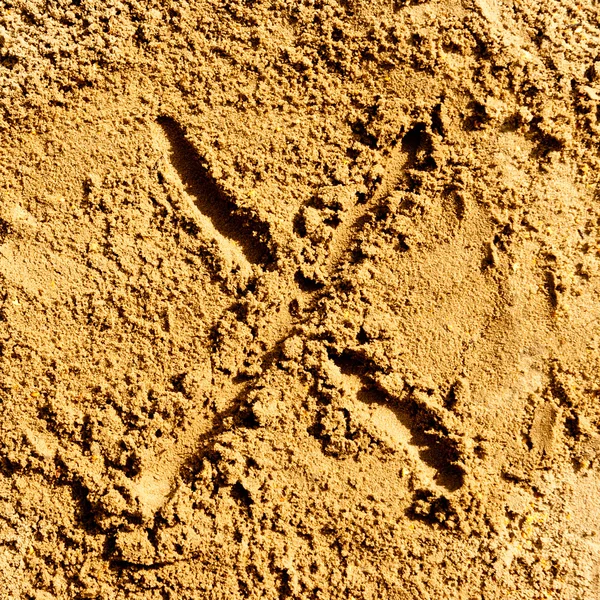 Sand alphabet — Stock Photo, Image