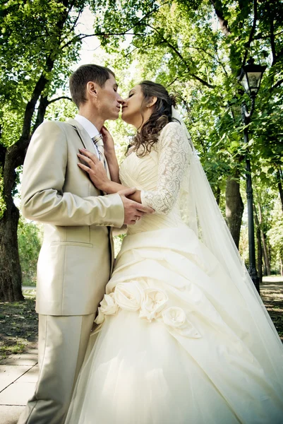 Bride and groom — Stock Photo, Image