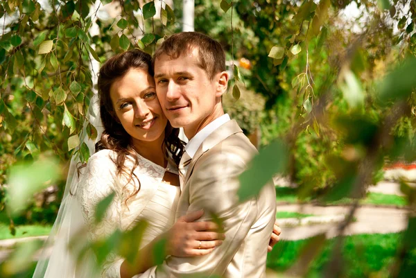 Bride and groom — Stock Photo, Image