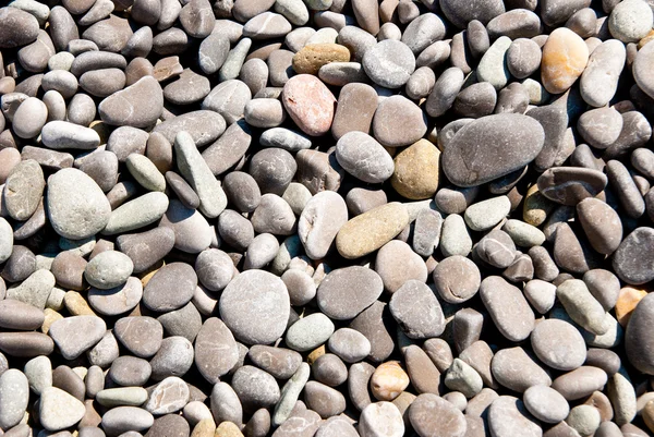 Pebble — Stock Photo, Image