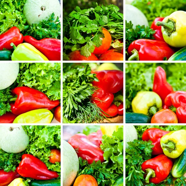 Zeleninové pozadí — Stock fotografie