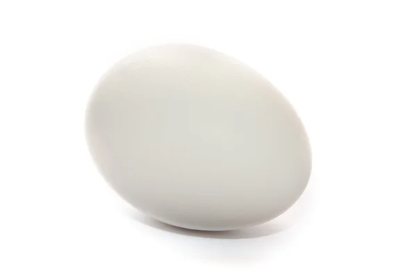 Tek yumurta — Stok fotoğraf