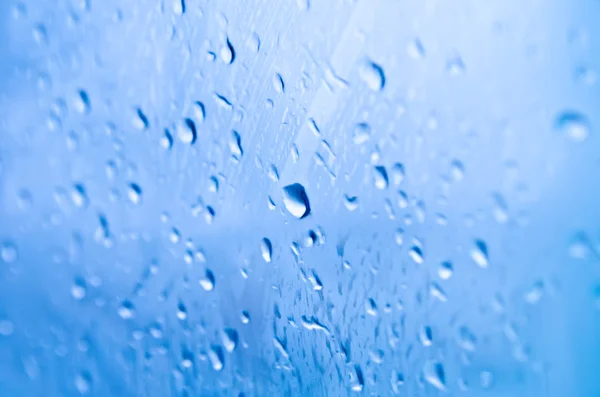 Rain drops — Stock Photo, Image