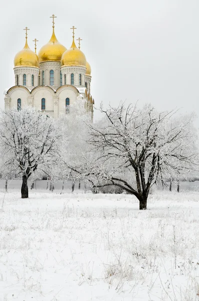 Chiesa in inverno — Foto Stock