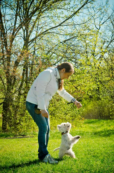 Woman with dog — Stock Photo, Image