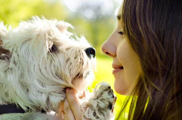 犬と女 — ストック写真