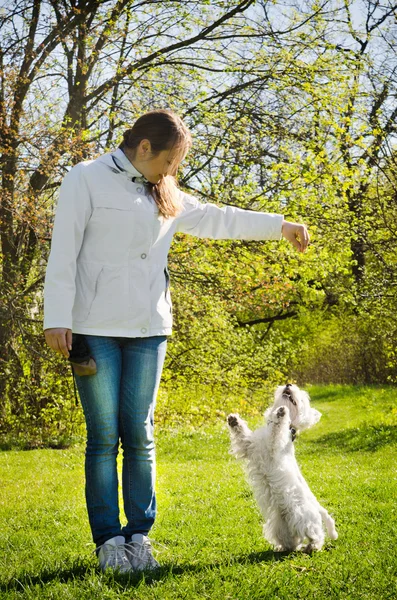 Woman with terrier — Stock Photo, Image