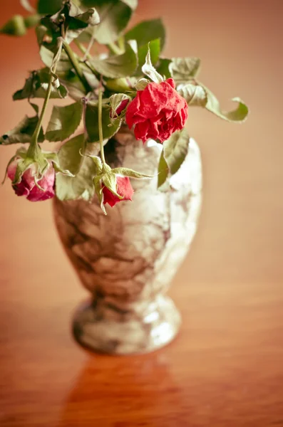 Wilted rose — Stock Photo, Image