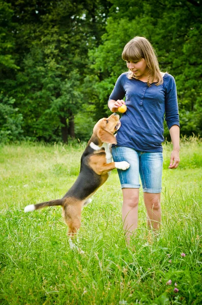 Kobieta z beagle — Zdjęcie stockowe