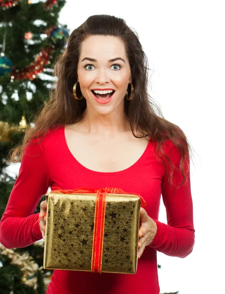 Verrast vrouwen houden kerstcadeau — Stockfoto