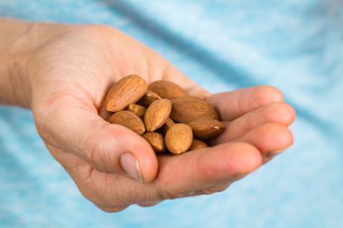 Hand holding almonds clipart