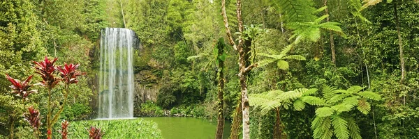 Millaa Millaa waterfall in Queensland, Australia — Stock Photo, Image