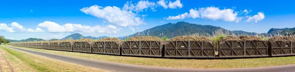 Panorama de um trem de cana de açúcar — Fotografia de Stock