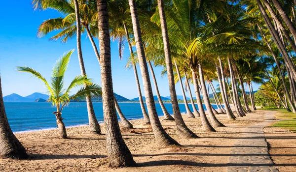 Zonstijging op tropisch strand — Stockfoto