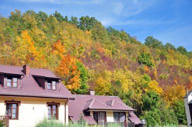 güneşli bir sonbahar ve ağaçlar bir evde