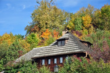 güneşli bir sonbahar